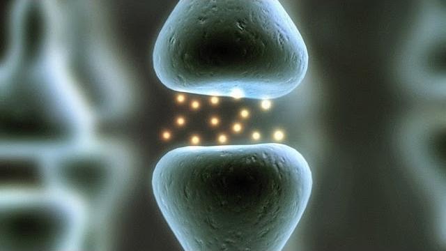 The power of believing that you can improve | Carol Dweck | TED The power of believing that you can improve | Carol Dweck | TED