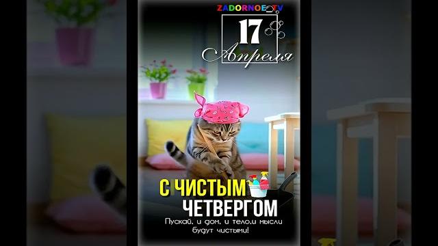 С Чистым четвергом! #задорноетв #озвучка #ржака #юмор #прикол #животные #смех #Чистыйчетверг С Чистым четвергом! #задорноетв #озвучка #ржака #юмор #прикол #животные #смех #Чистыйчетверг