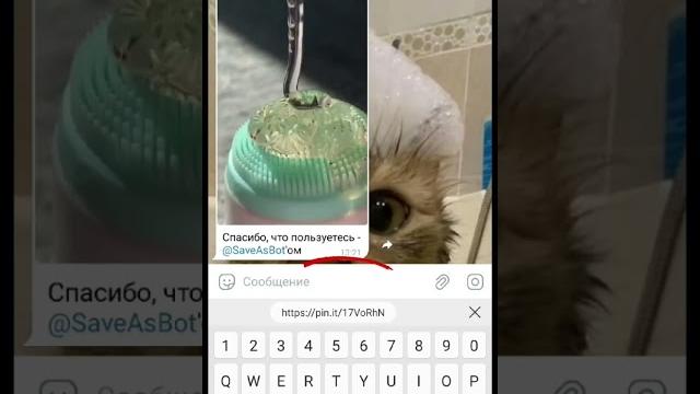 Как скачать видео с пинтереста Как скачать видео с пинтереста