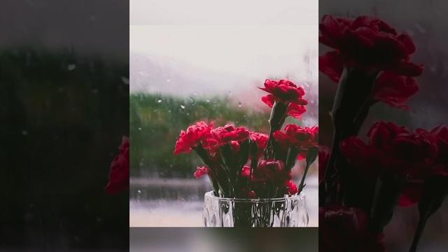 Кем был Святой Валентин? Кем был Святой Валентин?