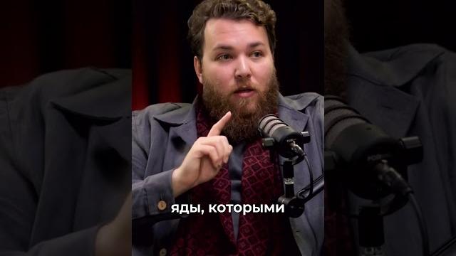 На вкус ты их не определишь, а как тогда понять? На вкус ты их не определишь, а как тогда понять?
