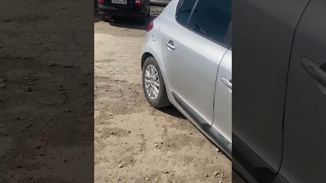Гусь #прикол #гусь #животные Гусь #прикол #гусь #животные