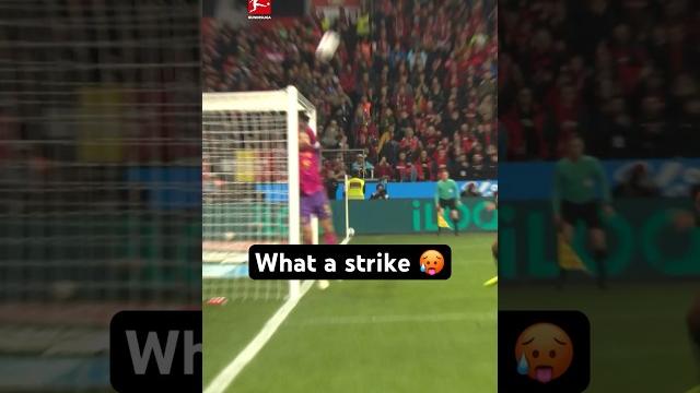 Nearly The Goal Of The Year Nearly The Goal Of The Year