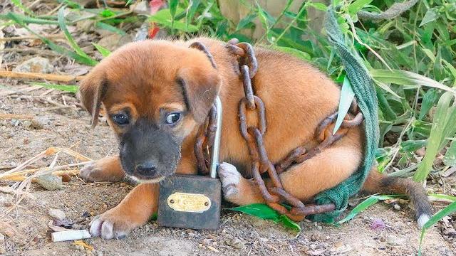ЭТОГО НЕ ДОЛЖНО БЫТЬ НА ЮТУБЕ! ЭТОГО НЕ ДОЛЖНО БЫТЬ НА ЮТУБЕ!