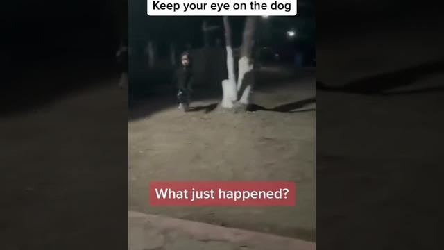 Scary video #shorts Scary video #shorts