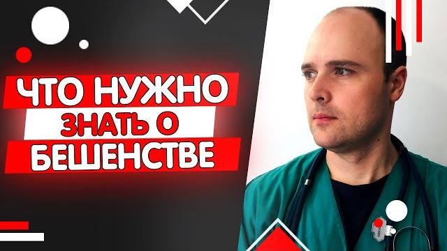 7 МИФОВ О БЕШЕНСТВЕ 7 МИФОВ О БЕШЕНСТВЕ