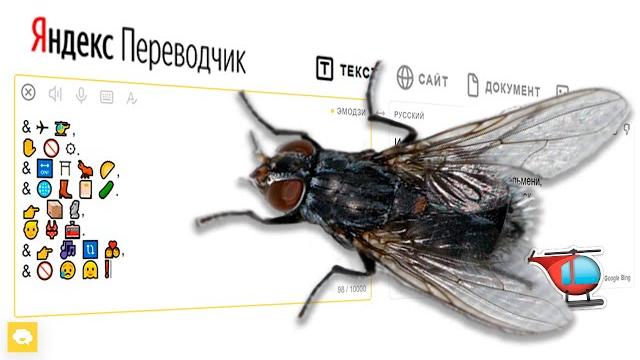 А муха тоже вертолёт + Яндекс Переводчик = А муха тоже вертолёт + Яндекс Переводчик =