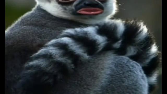 Чё у вас дождь идёт? Чё у вас дождь идёт?