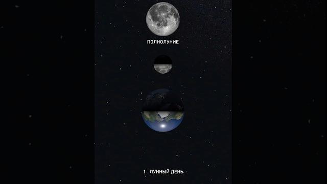Лунный месяц и фазы Луны. #космос Лунный месяц и фазы Луны. #космос
