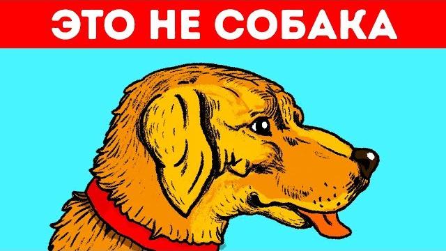 11 Оптических Иллюзий, Которые Обманут Ваши Глаза 11 Оптических Иллюзий, Которые Обманут Ваши Глаза