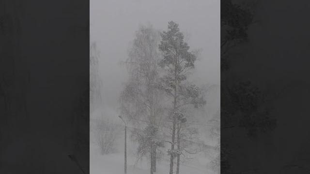 Циклон "Ольга". Циклон "Ольга".