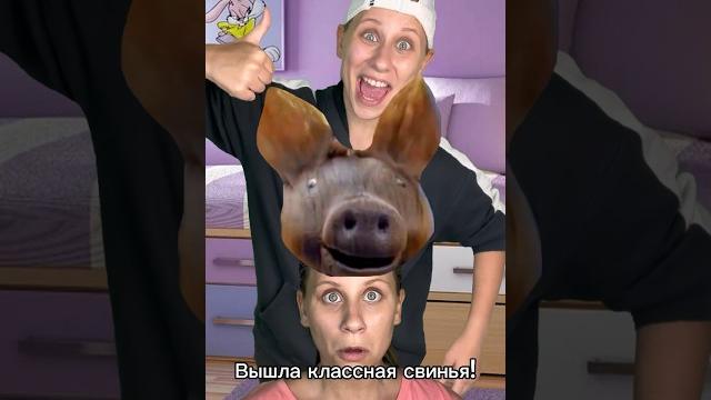 Свинья на бошке! #shorts Свинья на бошке! #shorts