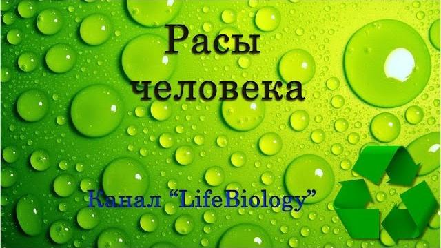 Расы человека Расы человека