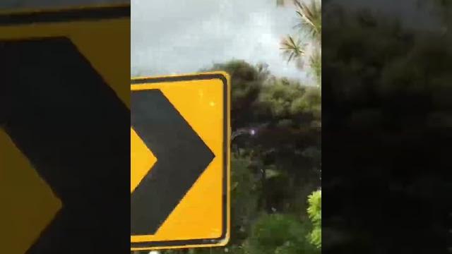 Древние леса Новой Зеландии #fun #video #shots #shots_video #nz #новаязеландия #лес #natura Древние леса Новой Зеландии #fun #video #shots #shots_video #nz #новаязеландия #лес #natura