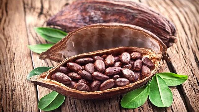 Какао бобы | Как их выращивают и делают шоколад Какао бобы | Как их выращивают и делают шоколад