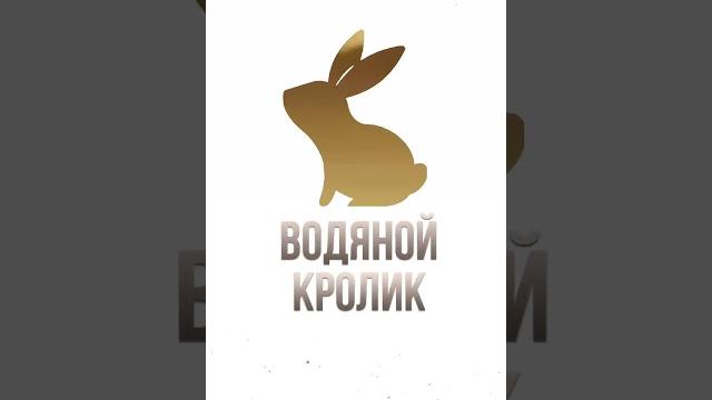 Год водяного кролика Год водяного кролика
