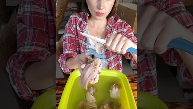 #язык_свиной #язык_свиной