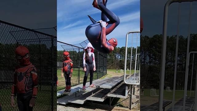 Meet The Spider-Fam Meet The Spider-Fam