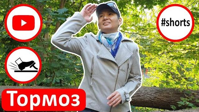 Эстонская медлительность Эстонская медлительность