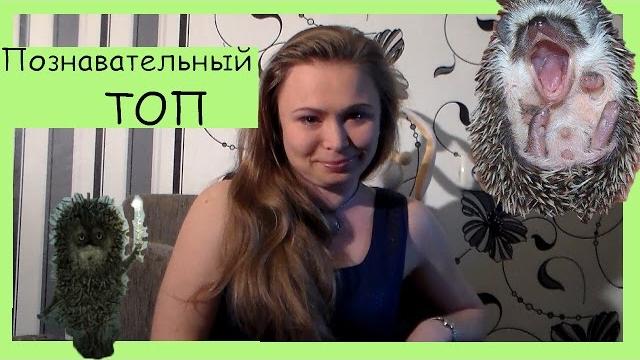Познавательный ТОП №4. 6 крутых фактов про ежей. Познавательный ТОП №4. 6 крутых фактов про ежей.