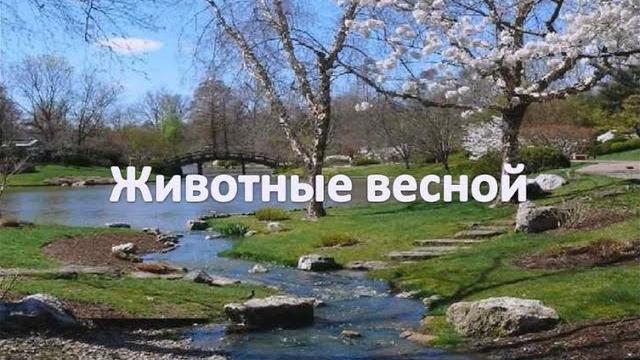 Животные весной. Животные весной.