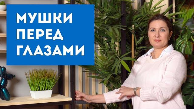 Мушки перед глазами Мушки перед глазами