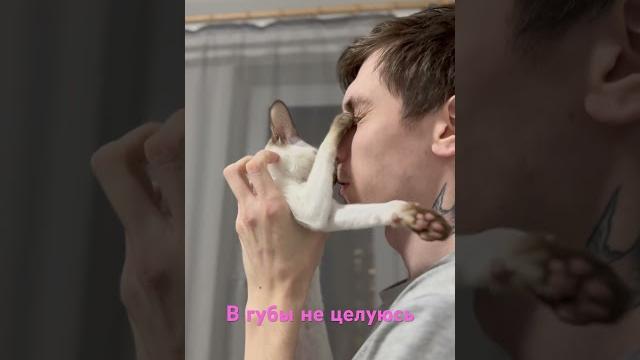 Культурный ориентал / Смешные видео Культурный ориентал / Смешные видео