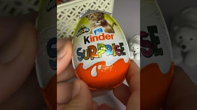 KINDER SURPRISE NATOONS 2025 KINDER SURPRISE NATOONS 2025