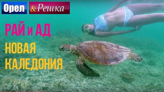 Орел и решка. Рай и Ад - Райская Новая Каледония (1080p HD) Орел и решка. Рай и Ад - Райская Новая Каледония (1080p HD)