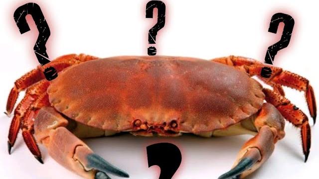 Как есть краба правильно?Очень простой способ)) Как есть краба правильно?Очень простой способ))