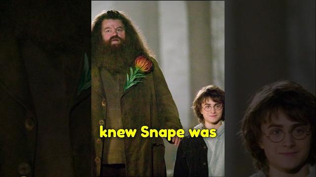 Harry Potter Fact Only True Potterheads Knew #harrypotter #facts #trendingshort #shortsfeed #shorts Harry Potter Fact Only True Potterheads Knew #harrypotter #facts #trendingshort #shortsfeed #shorts