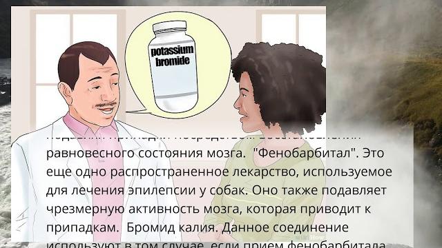 Как cпасти собаку от эпилепсии Как cпасти собаку от эпилепсии