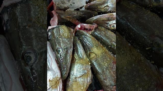 Головы щучьи под чесноком. Головы щучьи под чесноком.