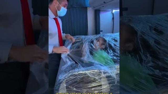 Ситуация в самолете #приколы #смех Ситуация в самолете #приколы #смех