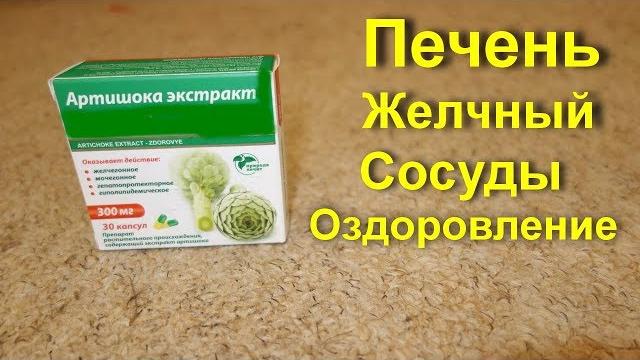 Артишок для лечения Печени и Желчного. Лечебные свойства Артишока. Холестерин сосуды и здоровье Артишок для лечения Печени и Желчного. Лечебные свойства Артишока. Холестерин сосуды и здоровье