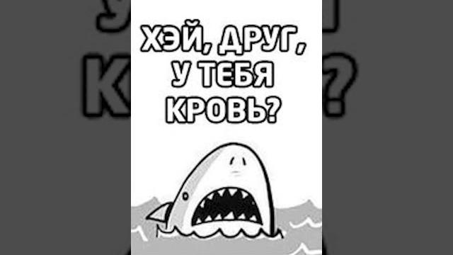 #приколы #мемы #мем #лютыеприколы #приколы #мемы #мем #лютыеприколы