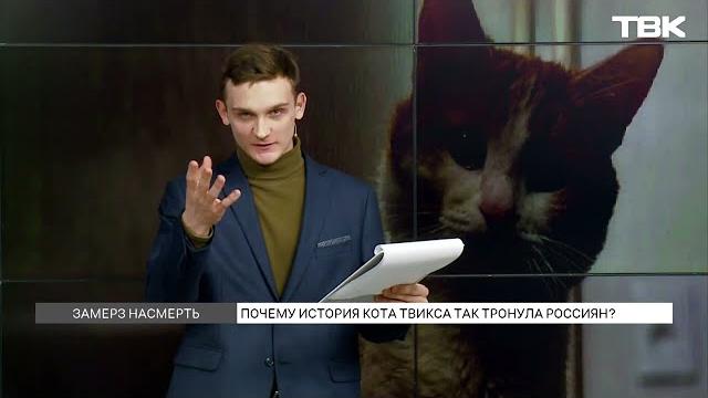 История кота Твикса: реакция общественности История кота Твикса: реакция общественности