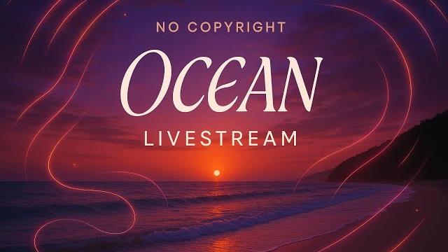 Music Mix 2025 | No Copyright | Music Mix 2025 | No Copyright |