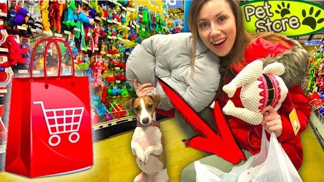 ПОДАРКИ И ПОКУПКИ ИЗ ЗООМАГАЗИНА АМСТЕРДАМ | Elli Di Pets ПОДАРКИ И ПОКУПКИ ИЗ ЗООМАГАЗИНА АМСТЕРДАМ | Elli Di Pets