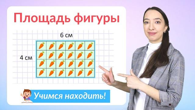 Что такое площадь. Как найти площадь прямоугольника? Что такое площадь. Как найти площадь прямоугольника?