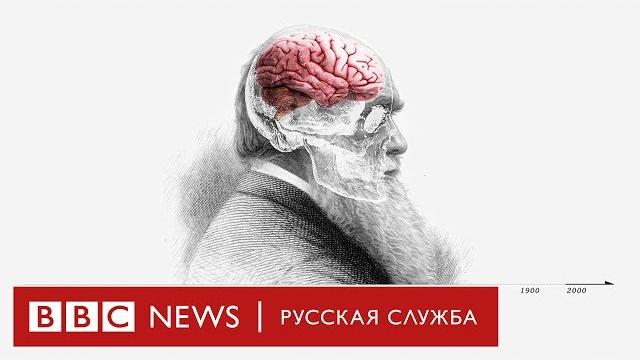 Теория эволюции Дарвина: как он до этого додумался? Теория эволюции Дарвина: как он до этого додумался?