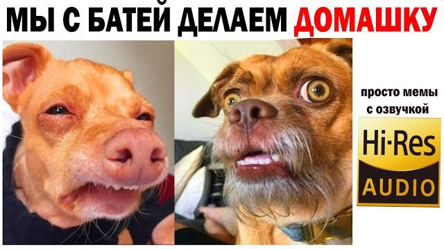 Мемы 2021 и Приколы Самые Смешные и Милые Лучшие МЕМЫ Картинки за День Дневная Подборка Мемов Мемы 2021 и Приколы Самые Смешные и Милые Лучшие МЕМЫ Картинки за День Дневная Подборка Мемов