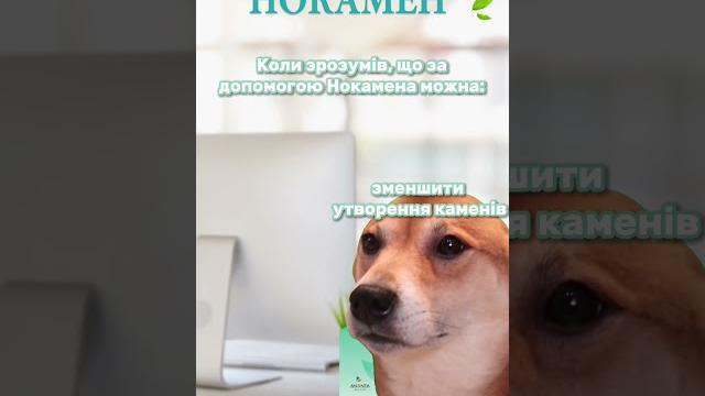Нокамен Нокамен