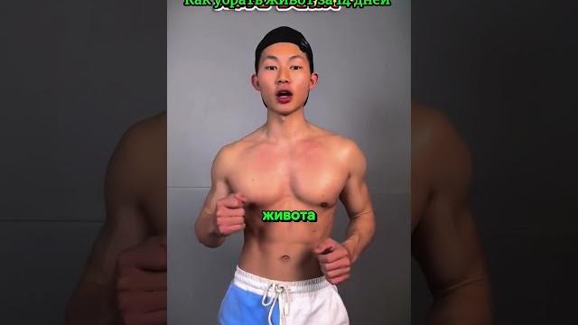 Как убрать живот за 14 дней! Как убрать живот за 14 дней!