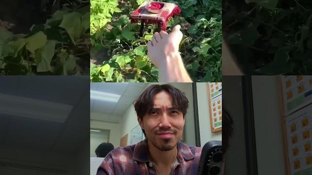 Лайфхак: как запомнить слово на всю жизнь Лайфхак: как запомнить слово на всю жизнь