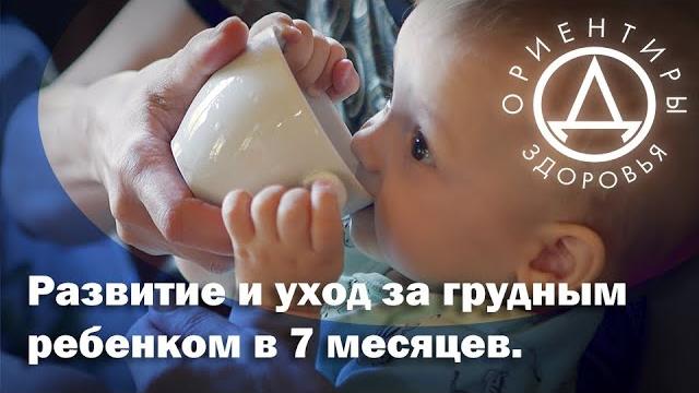 Развитие и уход за грудным ребенком в 7 месяцев Развитие и уход за грудным ребенком в 7 месяцев