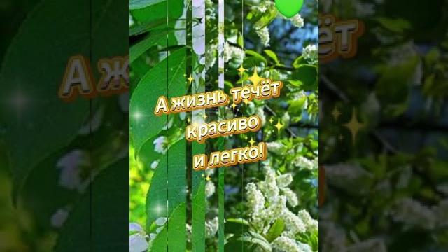 1 МАЯ С ПРАЗДНИКОМ ВЕСНЫ #лучшее #поздравление #открытка #1мая #видео #радость #шортс #shorts #like 1 МАЯ С ПРАЗДНИКОМ ВЕСНЫ #лучшее #поздравление #открытка #1мая #видео #радость #шортс #shorts #like