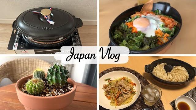 new toy in my kitchen | cooking with Staub oval oven dish, shopping for cactus at Daiso new toy in my kitchen | cooking with Staub oval oven dish, shopping for cactus at Daiso
