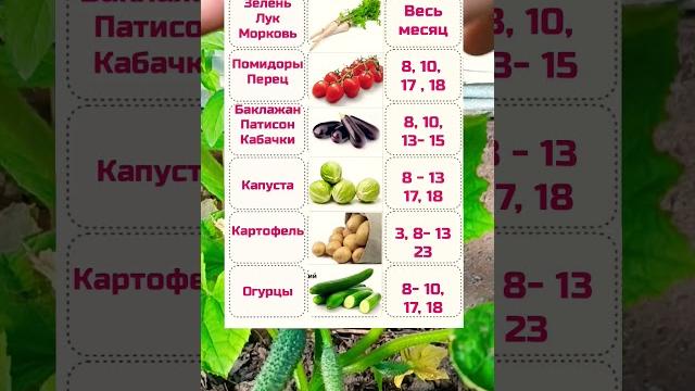 Благоприятные Дни Посадок в Июне 2025 #полезныесоветы #огород #календарь #рекомендации #2025 #реки Благоприятные Дни Посадок в Июне 2025 #полезныесоветы #огород #календарь #рекомендации #2025 #реки