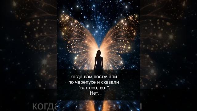 Ангел-хранитель. Знаки свыше. Часть 2. 59/67 Ангел-хранитель. Знаки свыше. Часть 2. 59/67